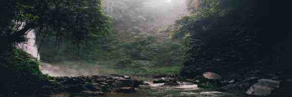 Profile cover