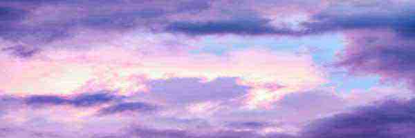 Profile cover