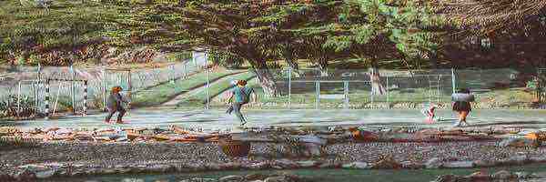 Profile cover